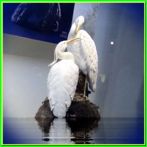 xЇմˇgƷ(lin)չ_Ļ